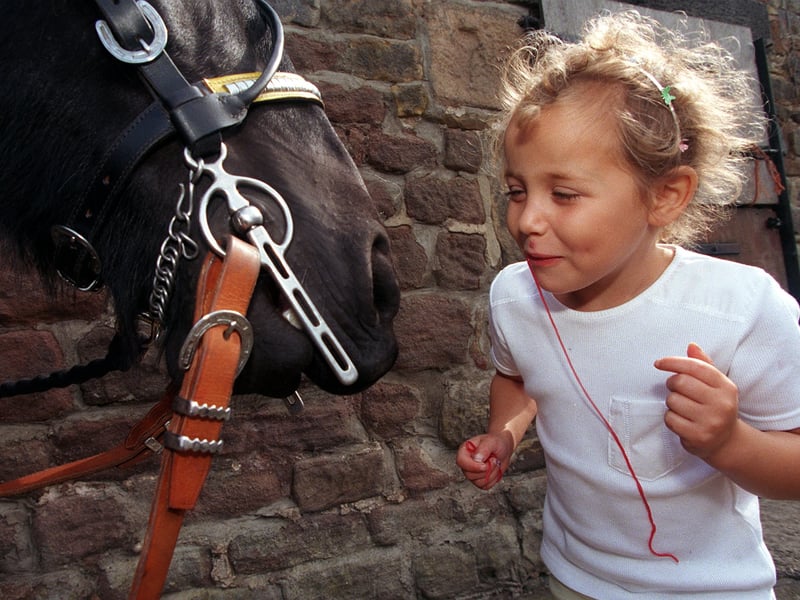 September 1999 and in focus is young India Farmer who was taking part in sponsored horse drive with her mum Joanna. She is pictured sharing her sweets with the horse they will be driving Rodney.