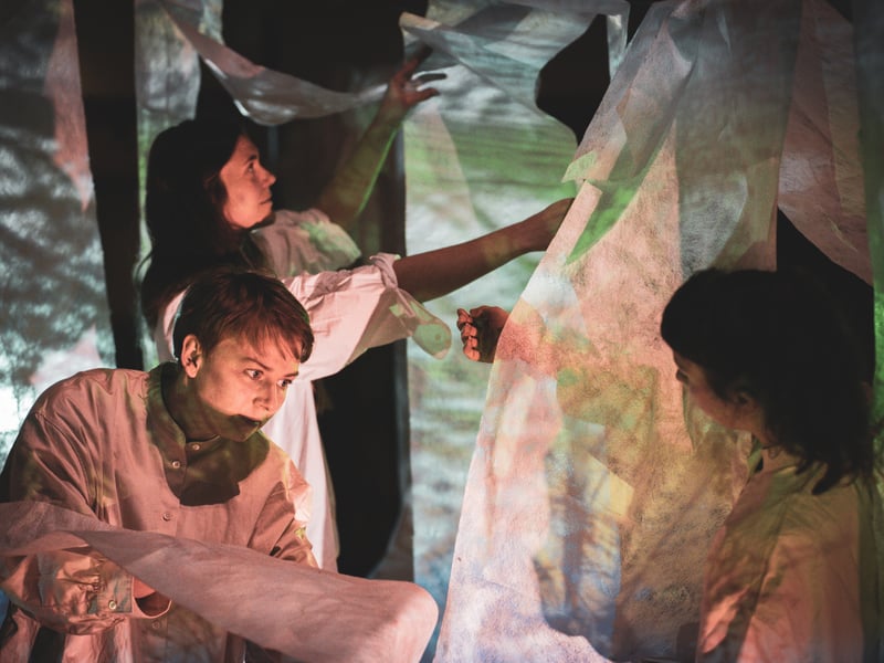 An immersive fifty-minute dance performance created in Shetland and inspired by the migration of birds. Mesmerising choreography, live music from Jenny Sturgeon and stunning projected visuals, A Journey of Flight creates a thought-provoking journey of arrivals, departures, the nostalgia of place and the notion of flight itself. 

Set against a backdrop of flowing white sheets, the dancers move through ever changing spaces, exploring new states of being and new homes.

Assembly@ Dance Base
12-17 August, 2.30pm.
