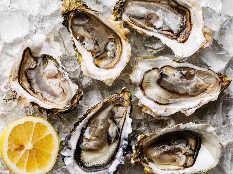Wrap up summer with a trip to the Stranraer Oyster Festival, a weekend packed with great food, local flavour and plenty for families to enjoy. It’s a tribute to seafood and coastal culture, with highlights including the Scottish Oyster Shucking Championships, live cooking demos from top chefs, music, markets, and family activities. All of it is proudly rooted in the local community, making it a fun and authentic way to experience the spirit of the south west. 