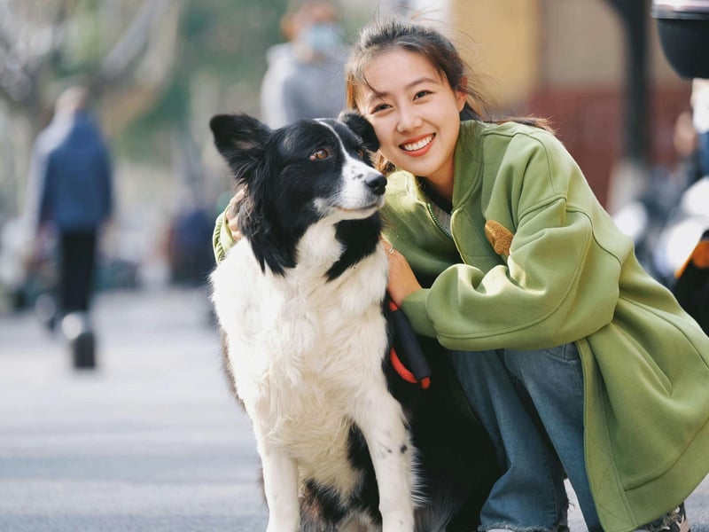 When it comes to close relationships between animals and humans, there are few closer than that formed between a Border Collie and its owner. Fiercely intelligent, these dogs are pack animals who can create a near-psychic bond that makes them perfect for herding sheep. Even as a household pet, they'll be as one with their family and will rarely want or need time alone.