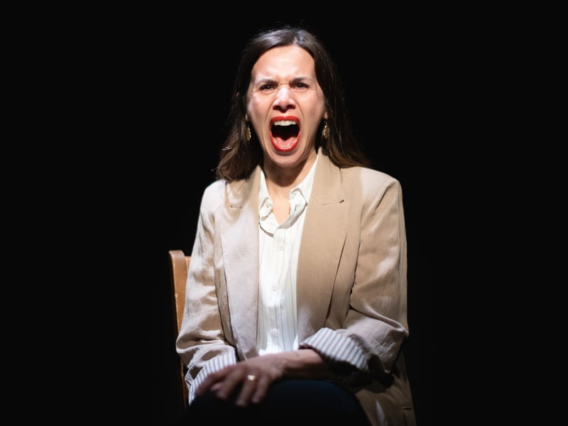 A haunting exploration of complicity, consent, patriarchy and trauma in a post-#MeToo world, Red Like Fruit, brings audiences the latest work of award-winning Canadian playwright Hannah Moscovitch. This European premiere from 2b theatre company from Halifax Nova Scotia, directed by Christian Barry, sees Luke narrate Lauren’s life: her fraying mental health and the unease she feels in the world.