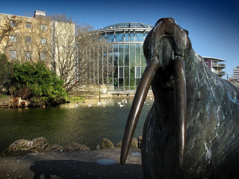 On Monday February 23, Sunderland Museum and Winter Gardens is hosting a face to face with fascinating artefacts and a chance to meet the team who care for the collections . The free event takes place from 11am – 12:30pm & 1:30pm – 3pm. You can also become a mini curator as you make your own cabinet of curiosities.