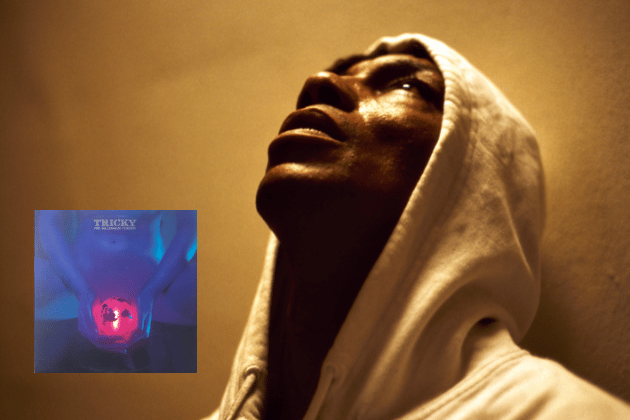 Dive into the raw, brooding soundscape of Tricky with this 1996 UK original LP pressing of Pre-Millennium Tension (4th & Broadway / Island Records). A pivotal album in the evolution of trip-hop, its gritty textures and innovative production cemented Tricky's status as a formidable artist. As a first-pressing from a seminal period, its value reflects its enduring influence and collectability. This LP has a highest recorded sale of £145.00 on Discogs.