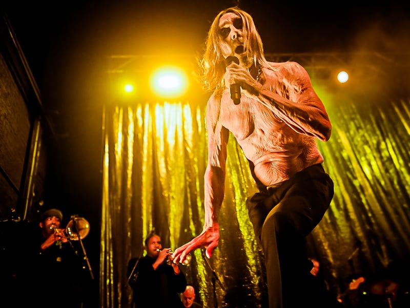 With a career spanning nearly 60 years, Iggy Pop is one of the most influential musicians still performing today.