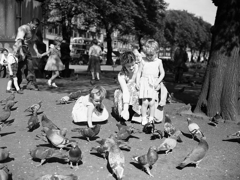 A mother and her daughters feed the pigeons in Princes Street gardens, Edinburgh, during the summer of 1959