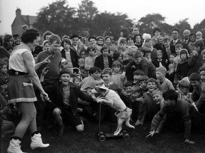 Children watch a dog riding a scooter during the Craigmillar Park summer show in 1963