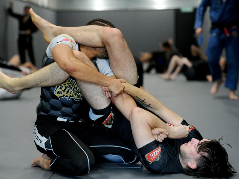 Gorilla Grapplers Fitness and Martial Arts Academy has gone from strength to strength after opening in Waterlooville earlier this year. 

Picture: Sarah Standing (260525-3740)