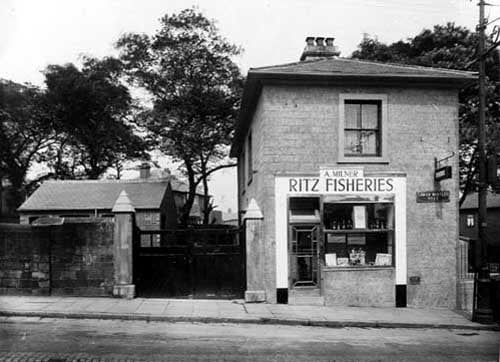 Ritz fisheries pictured in May 1933.