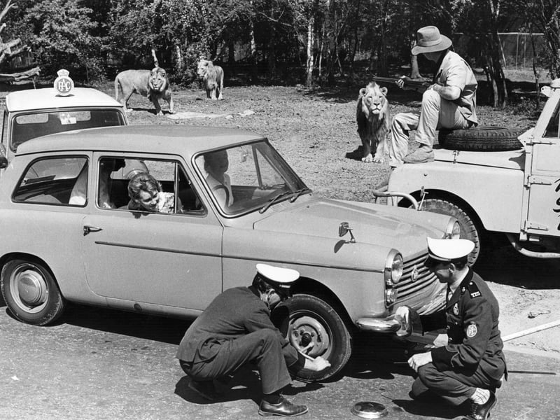 A survey in 2016 found that fewer than half of drivers know how to change a tyre - something almost all motorists could once do. There is a good reason for that, as most cars are now sold with puncture repair kits rather than a spare, and modern tyres are increasingly designed to be able to run for a short distance when punctured. It's not just changing a tyre which is today beyond most drivers. Other basic skills like changing your engine's oil have also been lost over the years - in part due to improvements in auto technology which mean cars can run for longer without an oil change.