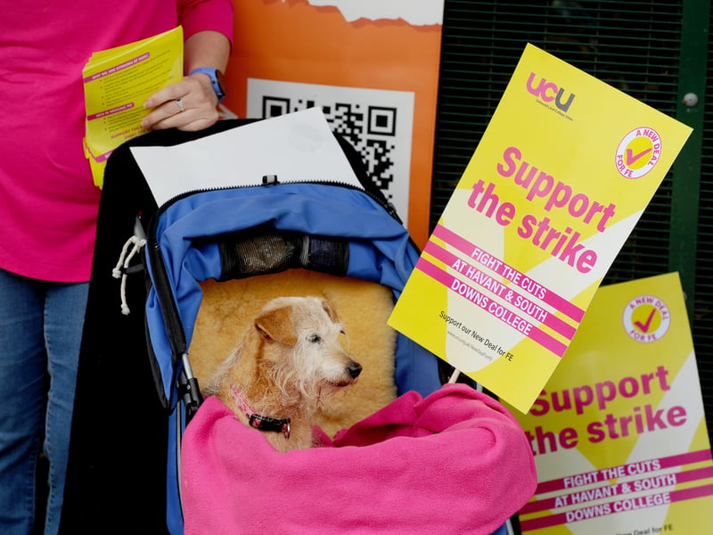 Staff across all three HSDC campuses have gone on strike over devastating job cuts following serious cash flow issues and a financial blackhole. 


Pictured is: Cookie (17) Jack Russell supporting owner during the strike

Picture: Sarah Standing (130625-7876)