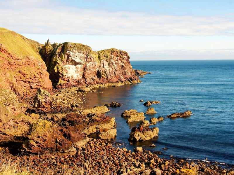 The progamme may claim it's the Cornwall coast, but it's actually the beautiful St Abb's Head nature reserve, just to the north of Berwick-upon-Tweed.