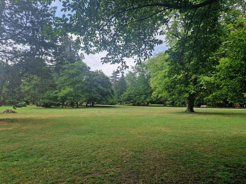 Wide open spaces at the top of Staunton Country Park
