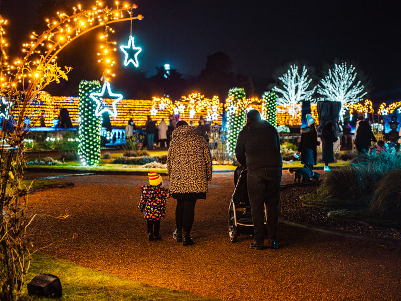 While not a traditional market, this event is a major festive attraction featuring an immersive light and sound display winding through the grounds of the spectacular Wollaton Hall and Deer Park. Visitors can enjoy festive food and drink stops along the mile-long trail. 🗺️ Wollaton Hall & Deer Park, Wollaton, NG8 2AD