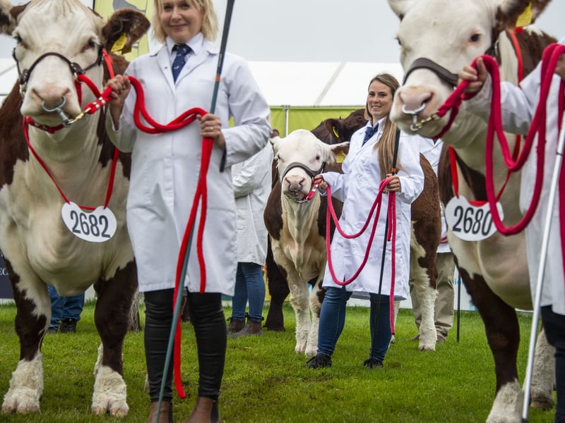 Prizes are awarded to the best animals, with the most prestigious livestock honour, the Queen's Cup, rotating between the champions of the various types of livestock – in 2025 it will be awarded to the best goat.