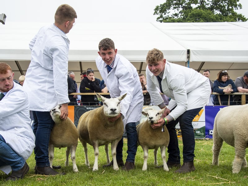 The animal's are brought out in front of the judges to face inspection and a range of livestock is exhibited at the show each year. 