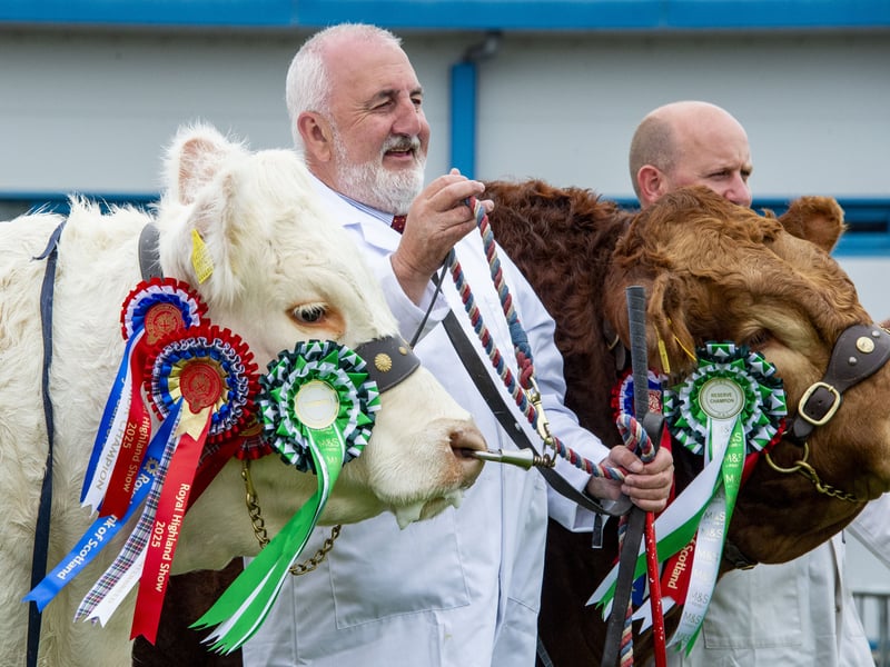 Norman Taylor - Winner of the Charolais Heifer Beef Junior Interbreed , it belongs to Andrew Hornell