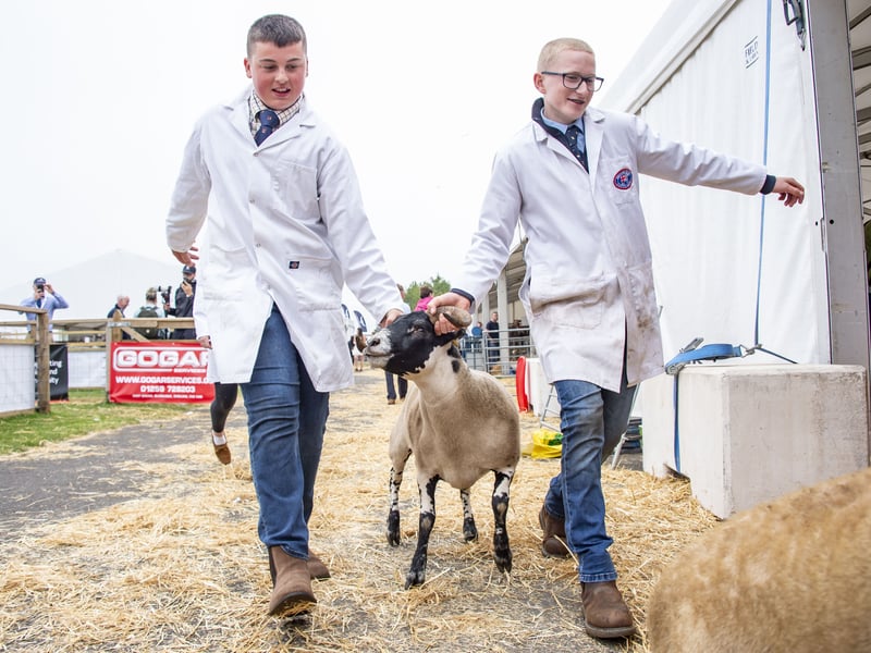 Hundreds of businesses fill up the grounds, selling everything from agricultural machinery, clothing and motor vehicles to Scottish food and drink products.