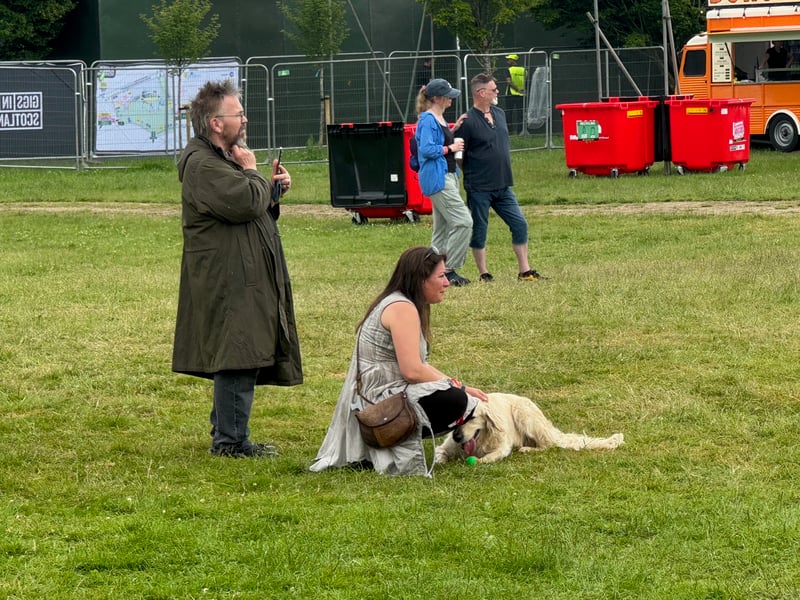 A punk dog enjoys the music.