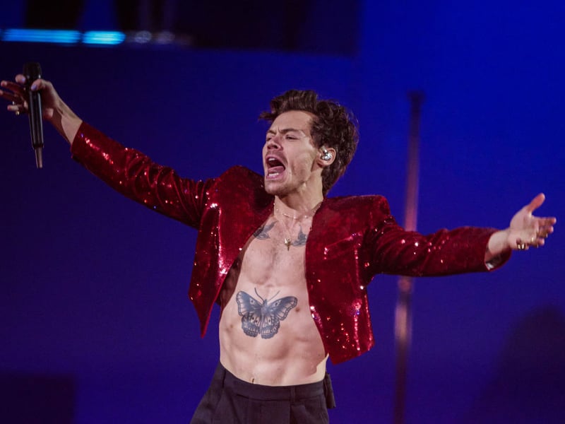 Pop stars don't come much bigger than former One Direction singer Harry Styles. He's never played at Glastonbury and was one of the hot favourites to headline when tickets went on sale last year. It's 25/1 that he'll be unveiled as Patchwork.