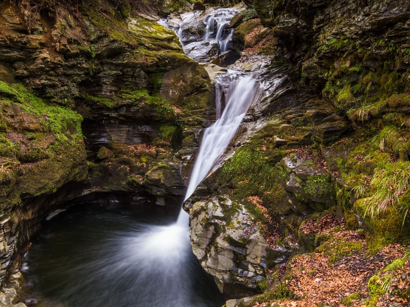 The pretty Falls of Acharn walk, in Perthshire, has a star rating of 4.7, 1,000 Instagram hashtags, 60 TikTok views, 379 reviews and 117 'beautiful' reviews. 