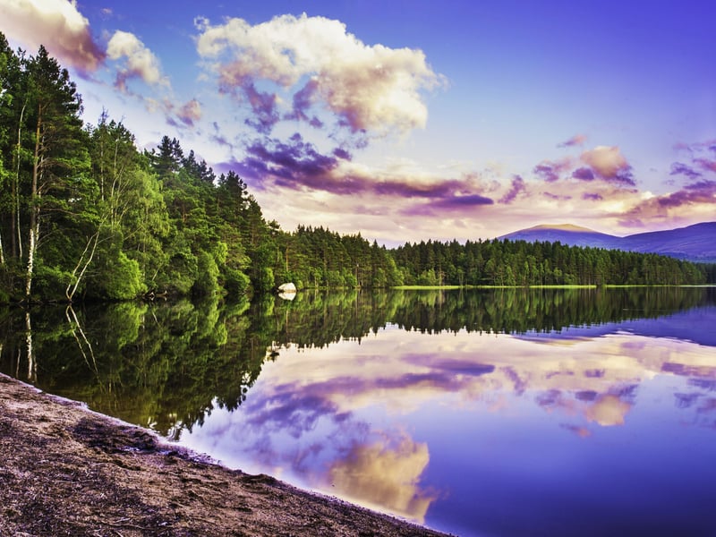 Loch Garten, in the Cairngorms National Park, is another lovely waterside walk, with a star rating of 4.8, 5,000
Instagram hashtags, 100 TikTok views, 190 reviews and 65 'beautiful' reviews. 
