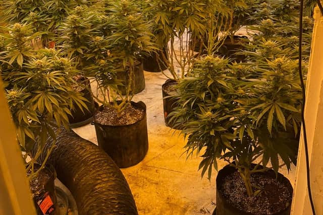 A cannabis farm in Rotherham found as part of Operation Grow
