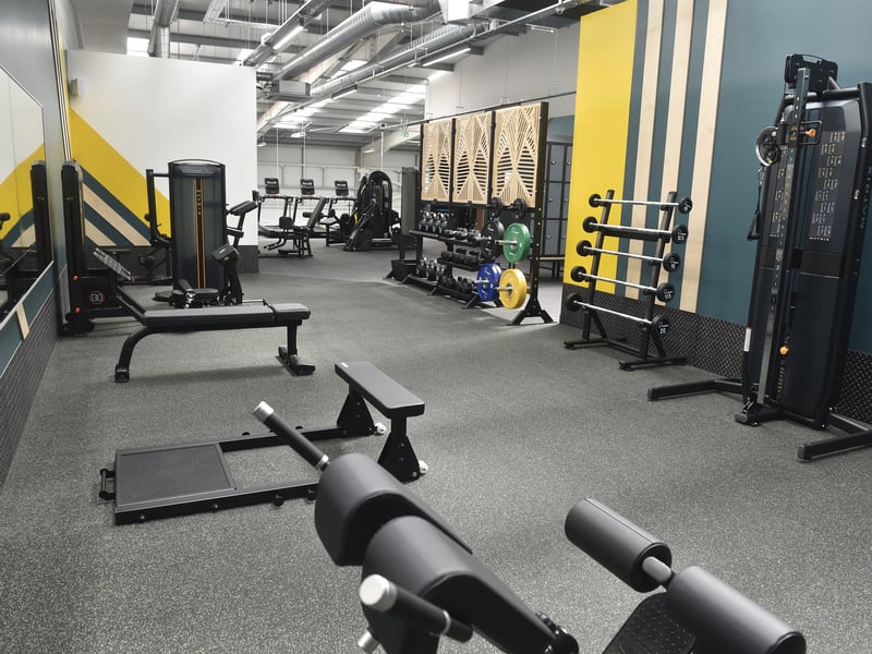The PureGym has opened in Havant next to B&M, Wickes and Aldi.