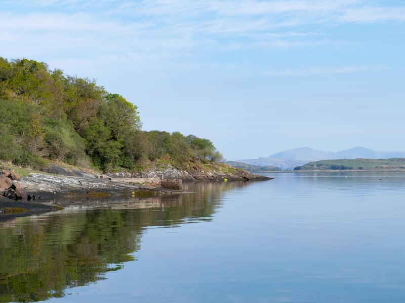 The bay below Birchwood, which otters often visit. 