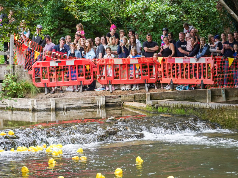 One thousand ducks being poured into the River Meon in Wickham for the annual duck race to raise funds for 1st Wickham Scout Group. 

Pictured: Alec Chapman