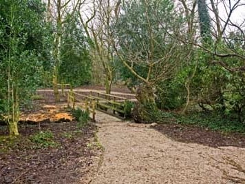 Next to the zoo and near Stanley Park, Salisbury Woodland is a quieter, more natural setting. It's shaded by trees, filled with wildflowers in spring and summer, and offers a calm, woodland feel for those who prefer a more rustic picnic spot.