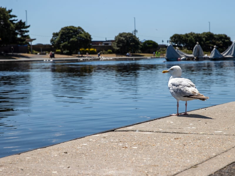 Pictured - Canoe Lake in the sunshine
Photos by Alex Shute