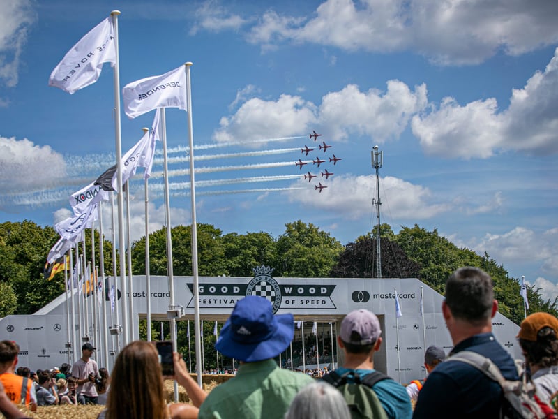 Crowds watched the Red Arrows display at Goodwood
Picture: Habibur Rahman