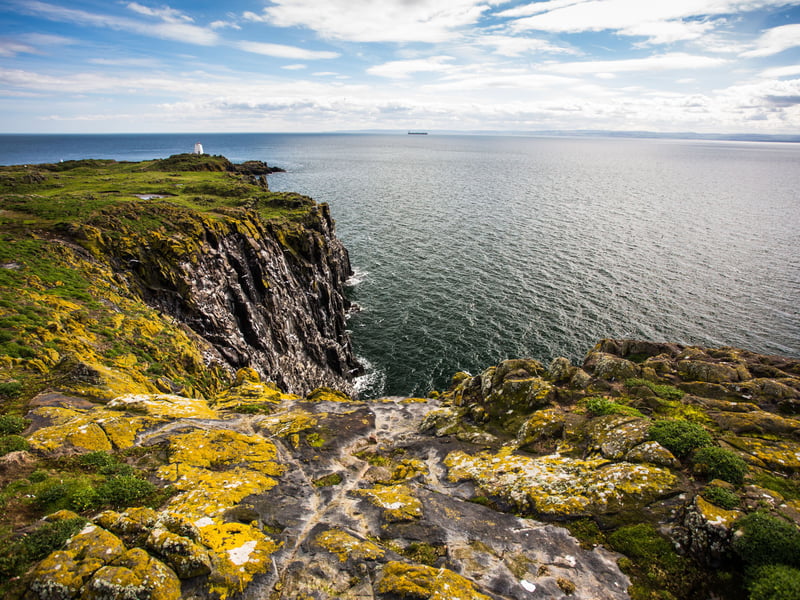 Located at the edge of the Firth of Forth, the Isle of May is a true wildlife sanctuary, packed with character and stories from centuries past. In early summer, the island’s cliffs are alive with thousands of seabirds nesting side by side, and it’s a real treat to watch puffins popping in and out of their grassy burrows. You might even spot seals on the rocks below. NatureScot manages the island as a National Nature Reserve, welcoming visitors to a friendly visitor centre with panoramic views across the harbour. You’ll find information about the latest wildlife sightings, plus fascinating stories and displays about the island’s nature and heritage, both inside the centre and along outdoor trails. The best time to see the bustling seabird colonies is June and July. The Isle of May can be reached by ferry, with sailings available from Anstruther in Fife, or from Dunbar and North Berwick in East Lothian. From Anstruther, you can choose between the May Princess or Osprey Rib, each offering a unique island experience. Work on Anstruther’s new lifeboat station will begin in July 2025 and continue for approximately 18 months. This may affect parking availability in the harbour area. We encourage you to park responsibly and consider alternative transport where possible. Ferries also run from Dunbar with Bluewild Rib, and from North Berwick with the Seabird Centre Rib. For full details, timetables and booking information, please check with the individual operators before you travel and make sure to book ahead.