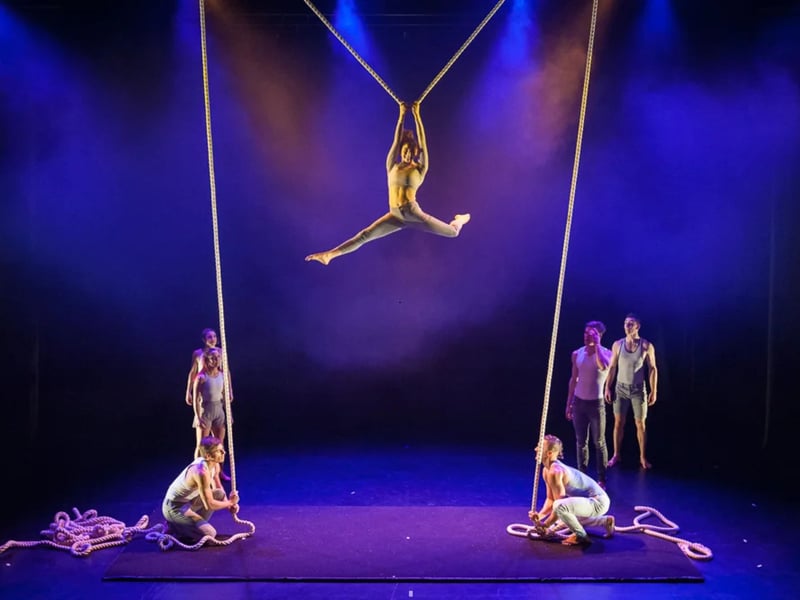 More Australian acrobatic fun, this time from One Fell Swoop Circus, this intriguing show involved seven acrobats and thirty metres of rope. It promises to "weave virtuosic acrobatics and intricate choreography through moments of confusion, hilarity, romance, playfulness, fear and friendship, uncovering the threads of connection present in all relationships." It's at Assembly Roxy from July 30-August 25.