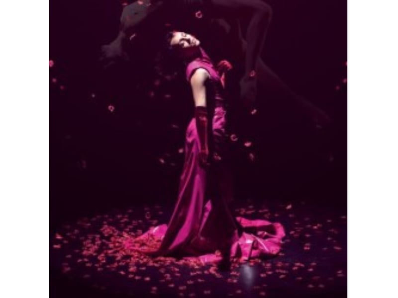 Circus doesn't always have to involve spectacular feats performed by groups of acrobats. 'Delusional - I Killed' a man occupied the blurry line between circus and physical theatre. It's a "contemporary circus solo that embarks on a trans woman's journey. The show explores the haunting feeling of having murdered one's former self, a common experience for many trans people when leaving their assigned gender behind." Diana Salles tells the story through aerial silks, dance, singing and physical theatre. It's at Summerhall from July 31-August 24.
