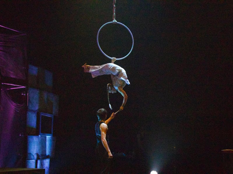 Combining Shakespeare with actobatics seems a very 'Fringe' thing to do, and that's exactly what New York Circus Project are doing in this acclaimed production. It's a "contemporary acrobatic spectacle weaving madness and passion into every heart-stopping moment. The ghost of Hamlet's father soars high above the young prince, Ophelia contorts in a display of agonized devotion and Hamlet himself is engulfed by madness, flipping through a tumultuous psychological landscape." It's at Assembly Roxy from July 30-August 24.