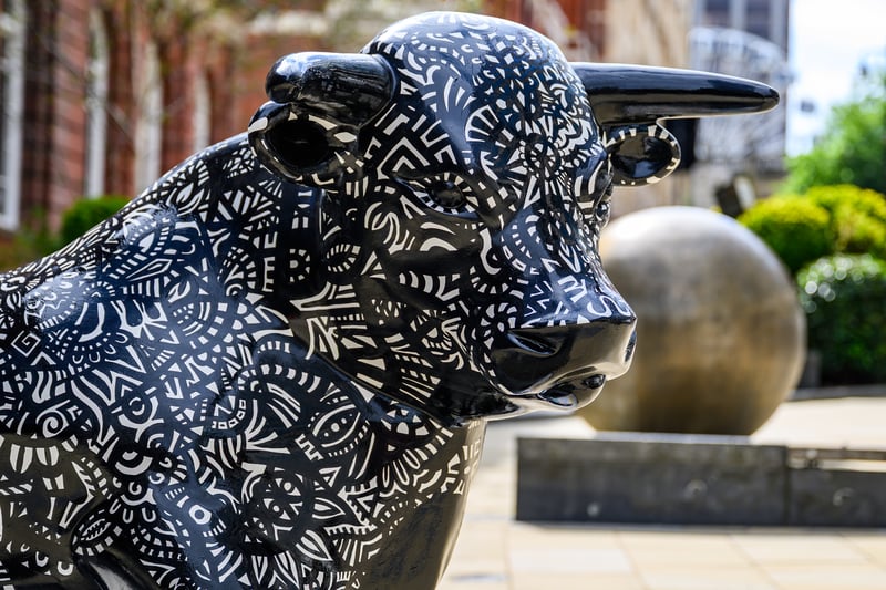 23 cracking photos of Birmingham's free summer bull trail: 'Bulls in ...