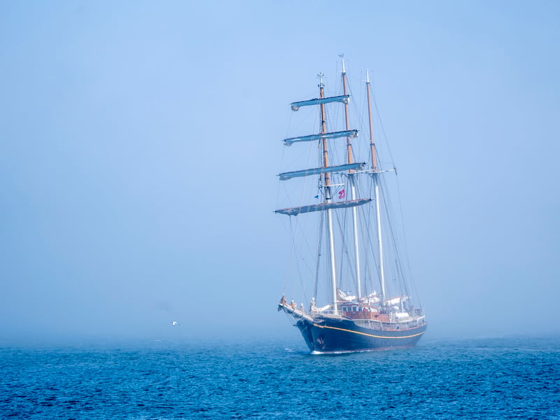 The Gulden Leeluw is a majestic three-masted topsail schooner, built in 1937 on behalf of the Danish Ministry of Agriculture and Fisheries. Before being converted, she was used by the Danish Government for marine biological research