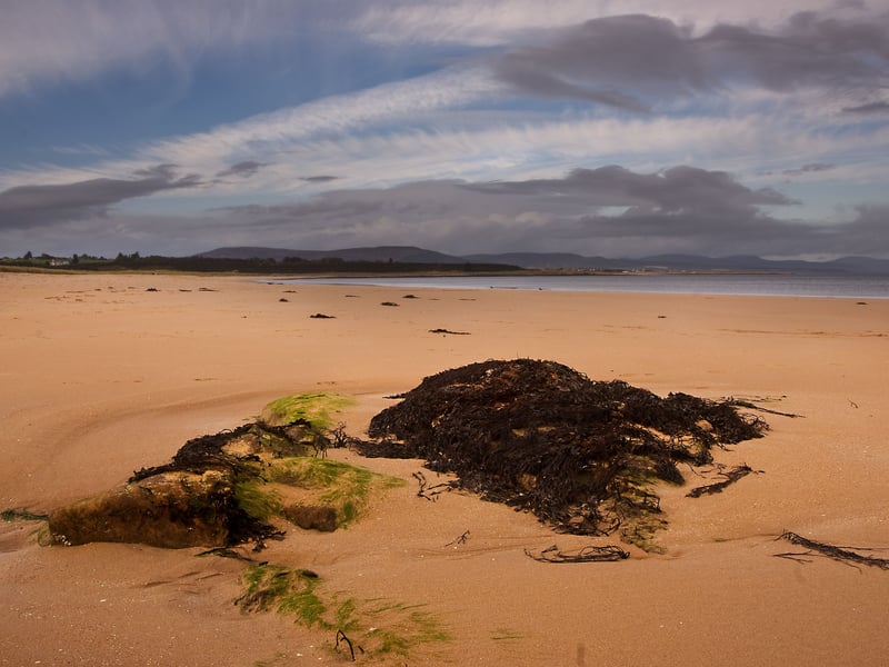 Topping the table is Dornoch Beach, offering miles of golden sand on the magical Dornoch Firth in the Highlands. It had an overall score of 100.45. One reviewer said: "Beautiful. Peaceful. Miles of sandy beaches. Fantastic space for dog walks - both on lead and off as given space sometimes had the beach to ourselves. Absolutely stunning."