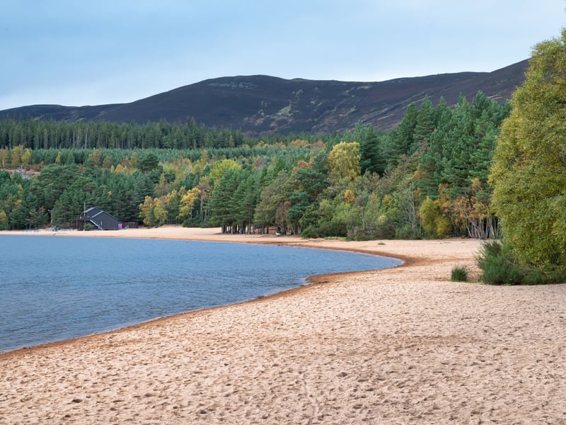 In Scotland not all the best beaches are by the sea - third place goes to the glorious sandy stretch on Loch Morlich in the Highlands, which earned a rating of 100.27. A reviewer explains what makes it special, saying: "Loch Morlich is a lovely area. It is dog friendly and a great place to spend a few hours relaxing and taking in the scenery. Our dogs enjoyed playing in the sand and having a paddle in the clear water. There is a large car park (charges apply), which is just a short walk from the sand. It is a popular area for families, dog walkers, and for those who enjoy water sports. There is a dog friendly cafe based at Loch Morlich, which we didn't use, but it looked popular and would consider the next time we visit."