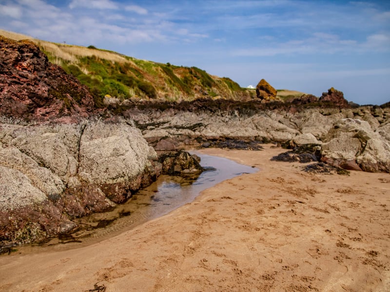 Completing the top 10, with a score of 100.05. is the Berwickshire beach of Coldingham Bay, in the Scottish Borders.  One happy dog walker said: "Love it. Such a beautiful beach with a nice cafe, friendly staff and dog friendly. Lovely ice cream - and they even do ones for your furry friend."