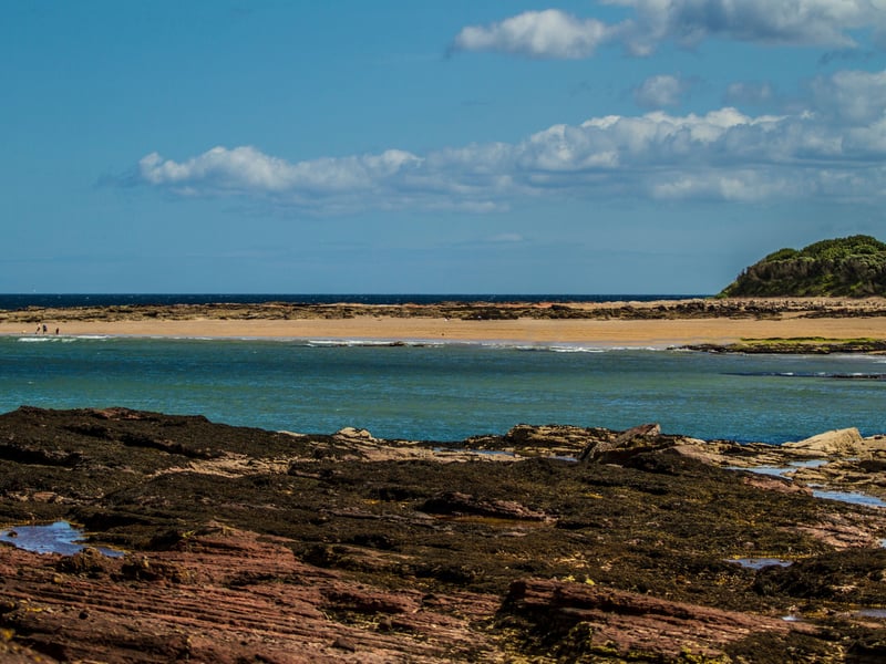 Also scoring 100.07 points is Seacliff Beach which, according to the research, is the best beach in East Lothian. One visitor explained why, saying: "Beach is very quiet and clean with Super views. Dog friendly. We parked at area to side of road and walked down steps to the beach. Dogs had good run around. Lovely morning. Well worth the visit."