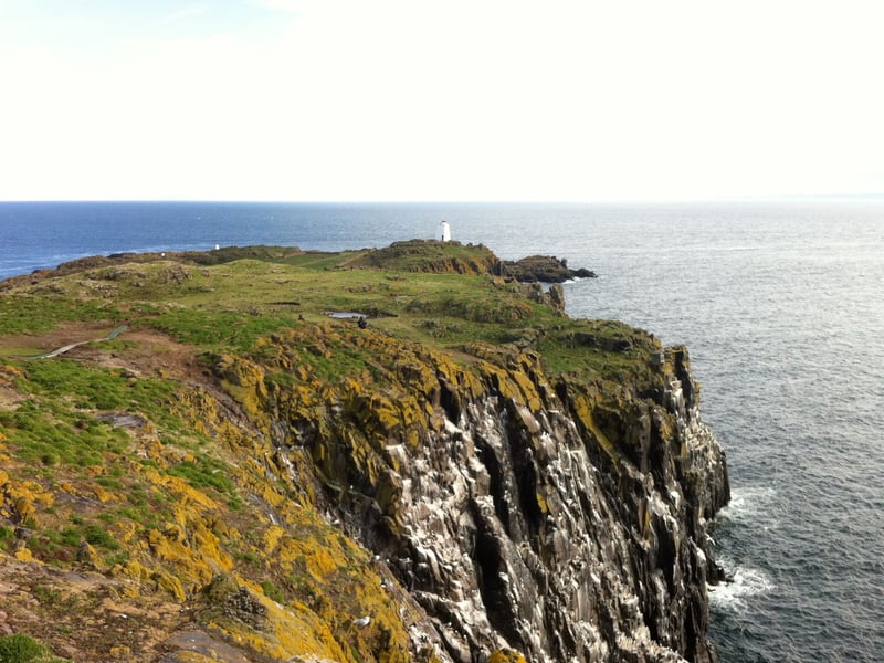 Located at the edge of the Firth of Forth, the Isle of May is a true wildlife sanctuary, packed with character and stories from centuries past. In early summer, the island’s cliffs are alive with thousands of seabirds nesting side by side, and it’s a real treat to watch puffins popping in and out of their grassy burrows. The best time to see the bustling seabird colonies is June and July. The Isle of May can be reached by ferry, with sailings available from Anstruther in Fife, or from Dunbar and North Berwick in East Lothian. From Anstruther, you can choose between the May Princess or Osprey Rib, each offering a unique island experience.