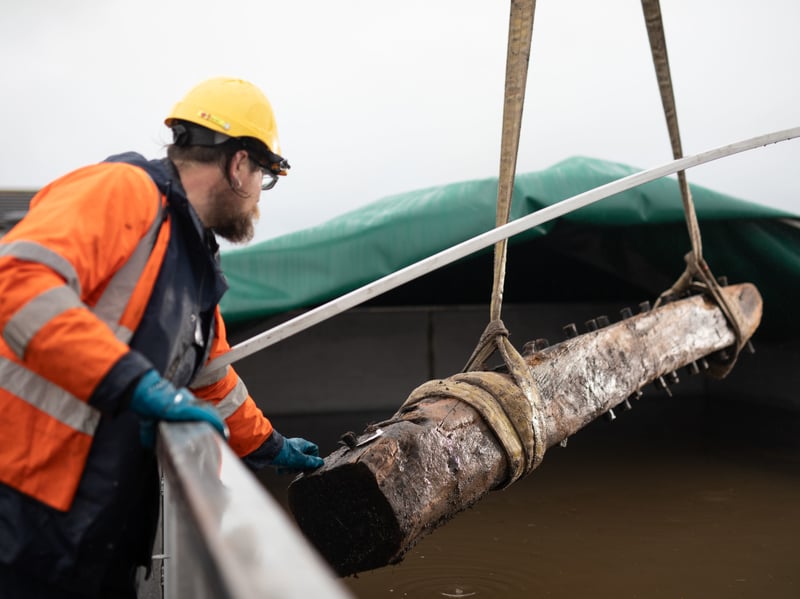 Ben Saunders supervising the Sanday Wreck timbers as they are placed in a freshwater tank to preserve them.