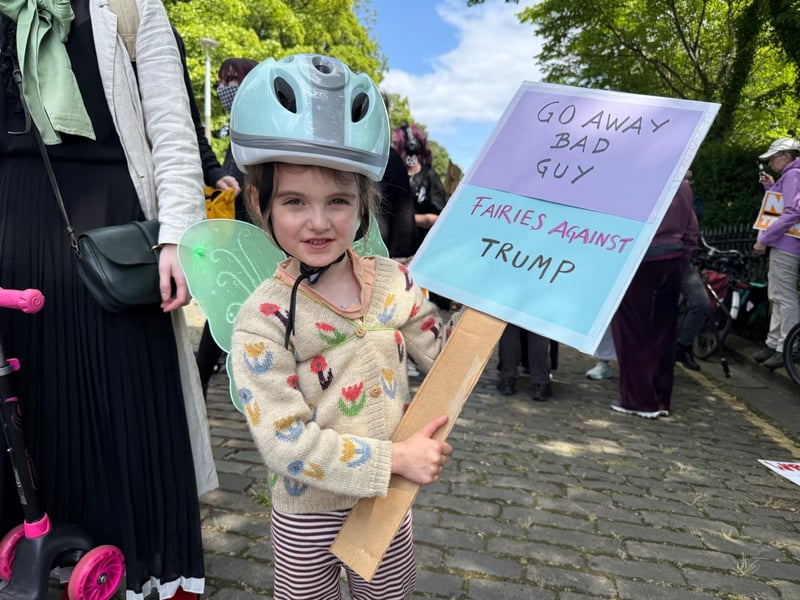 'Fairies Against Trump'