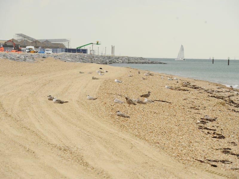 61,000m3 of shingle has been dredged to 'recharge' the beach in front of Southsea Common, which will see the useable area increased.
Picture: Sarah Standing (240725-840)