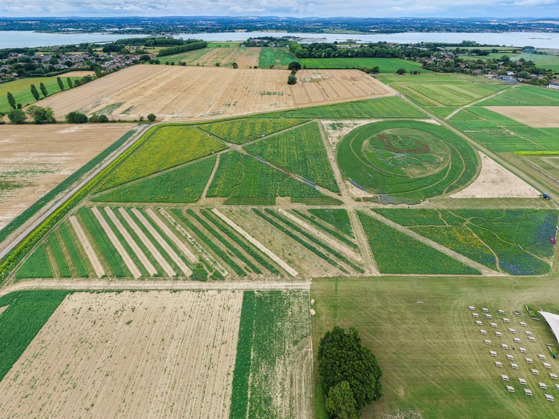Pictured: Aerial view
Picture:Marcin Jedrysiak