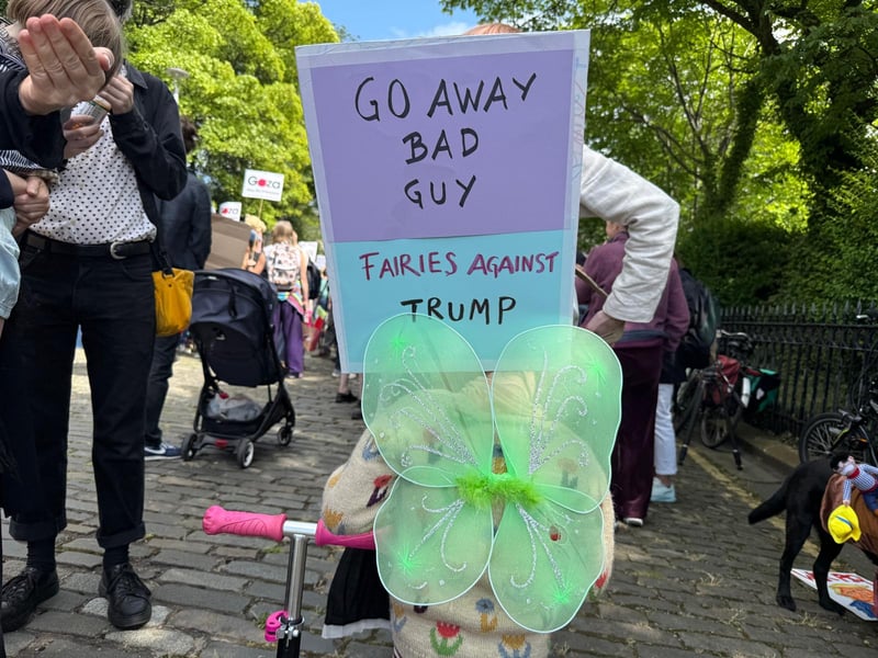 "Fairies against Trump"