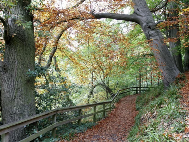 The walkway following the River Almond from Cramond Brig to Cramond village takes in a variety of woodland, including beech, oak and sycamore. It takes around two hours to complete.