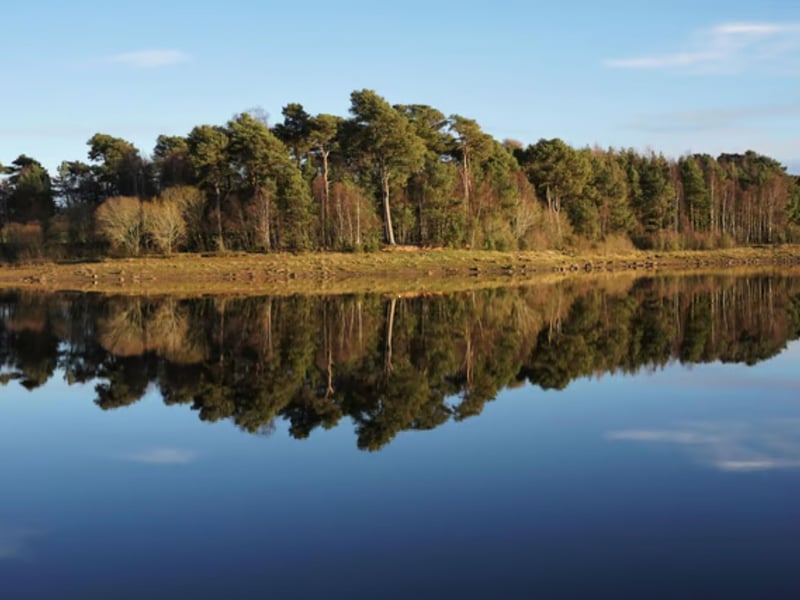 There are a number of wonderful wooded walks in the Pentlands, on the outskirts of the city. One of the prettiest and easiest to find is a track around Harlaw Reservoir - just follow the squirrel signs.